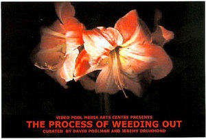 The Process of Weeding Out