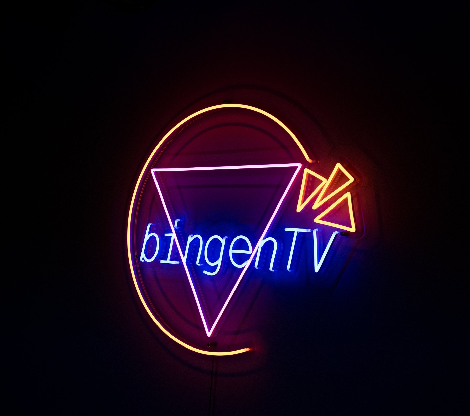 bingenTV, by Sophie Seita and Naomi Woo