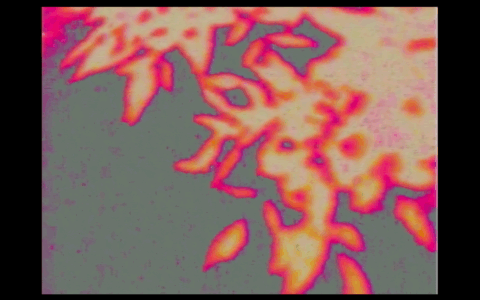 Nocturne - Zoë LeBrun