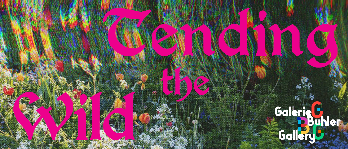banner with bright glitchy nature backdrop and pink medieval text "tending the wild"