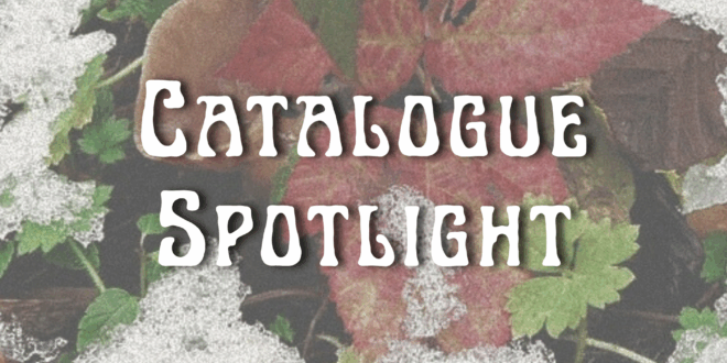 The text "catalogue spotlight" on a background of autumn leaves and a mushroom with snow