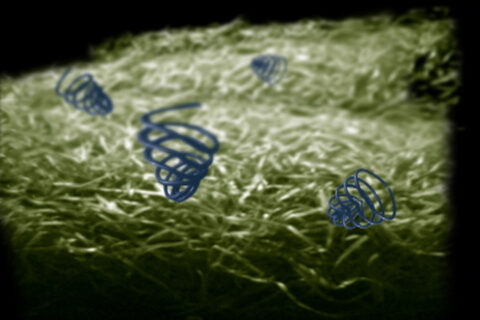 Abstracted dark blue springs on top of a grassy background