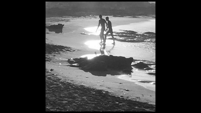 McFadden-SeparatePeaceC