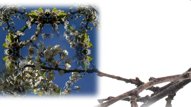 george-spring_1920x0180