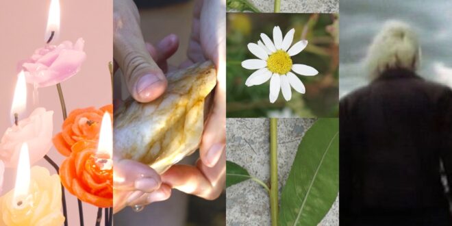 A vertical grid of four images from the selected spotlighted films
