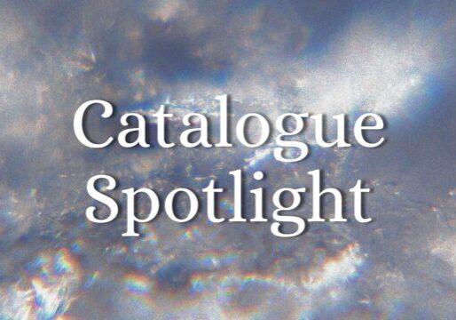 "Catalogue Spotlight" in fancy text over a sparkling icy background