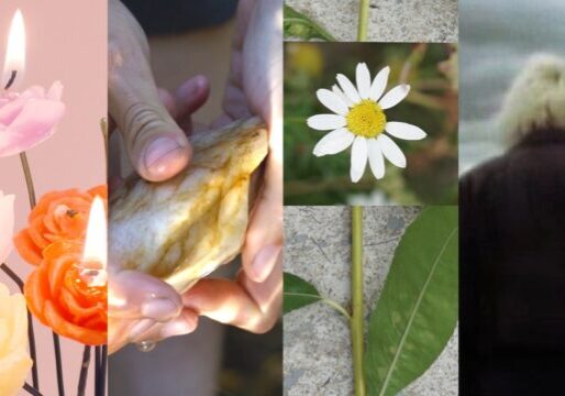 A vertical grid of four images from the selected spotlighted films