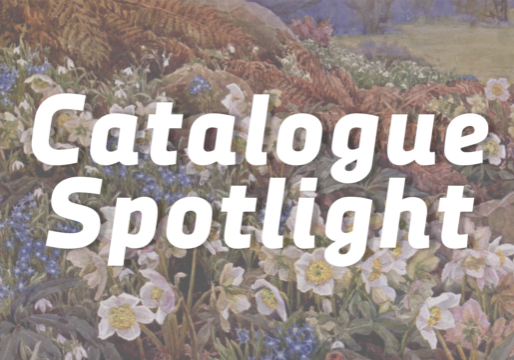 "Catalogue Spotlight" in white text over a field of flowers